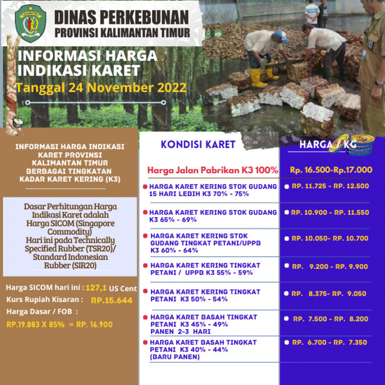 Informasi Harga Indikasi Karet Per 24 November 2022