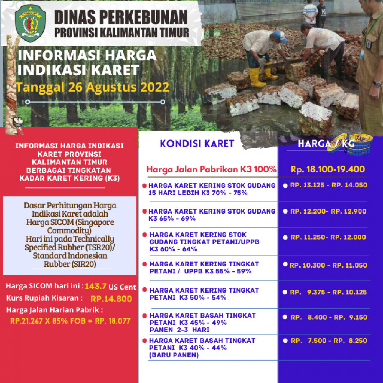 Informasi Harga Indikasi Karet Per 26 Agustus 2022