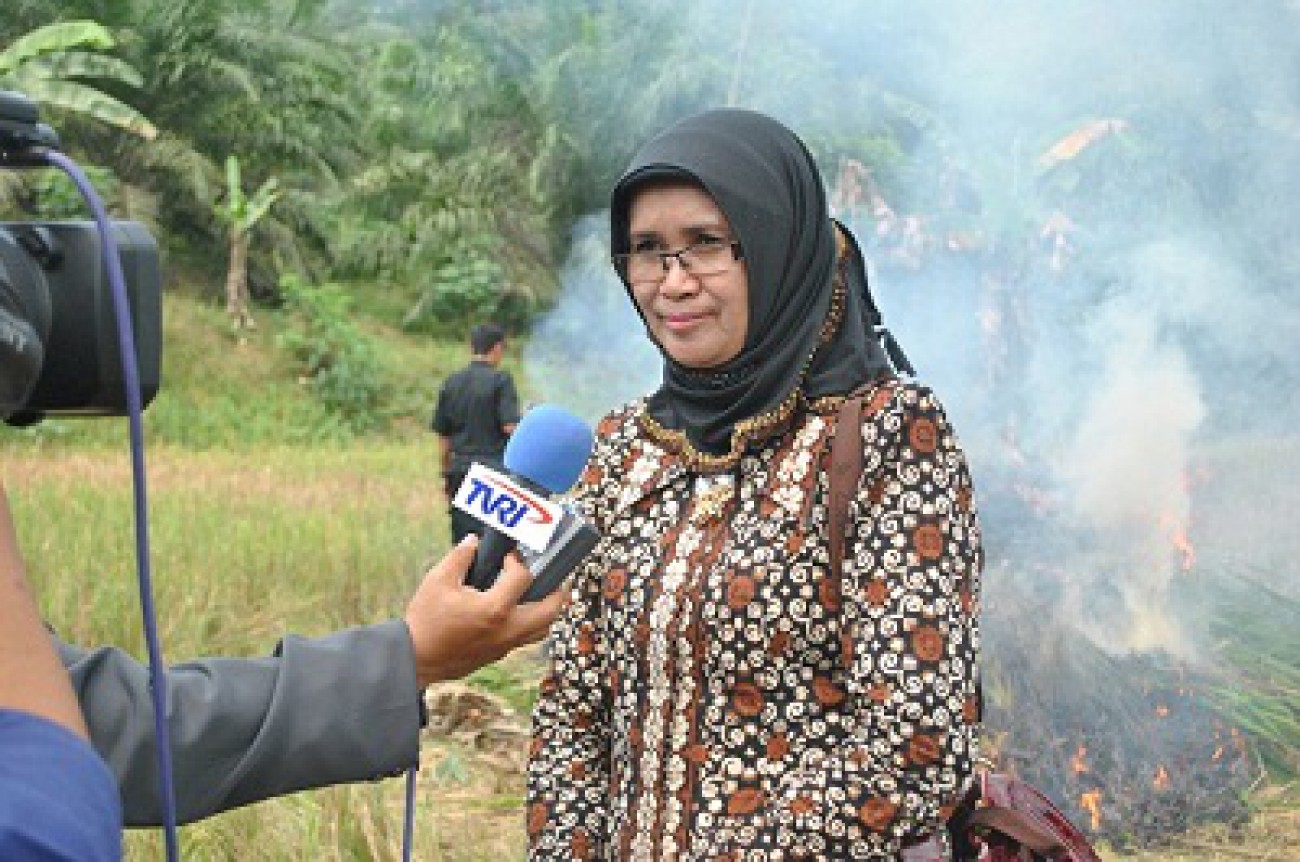 CPO Berpotensi Gantikan Batu Bara dan Migas