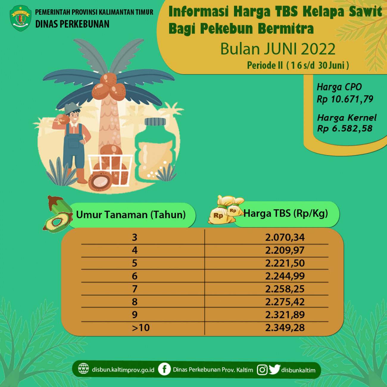 Informasi Harga TBS Kelapa Sawit Bagi Pekebun Bermitra Periode 16 - 30 Juni 2022