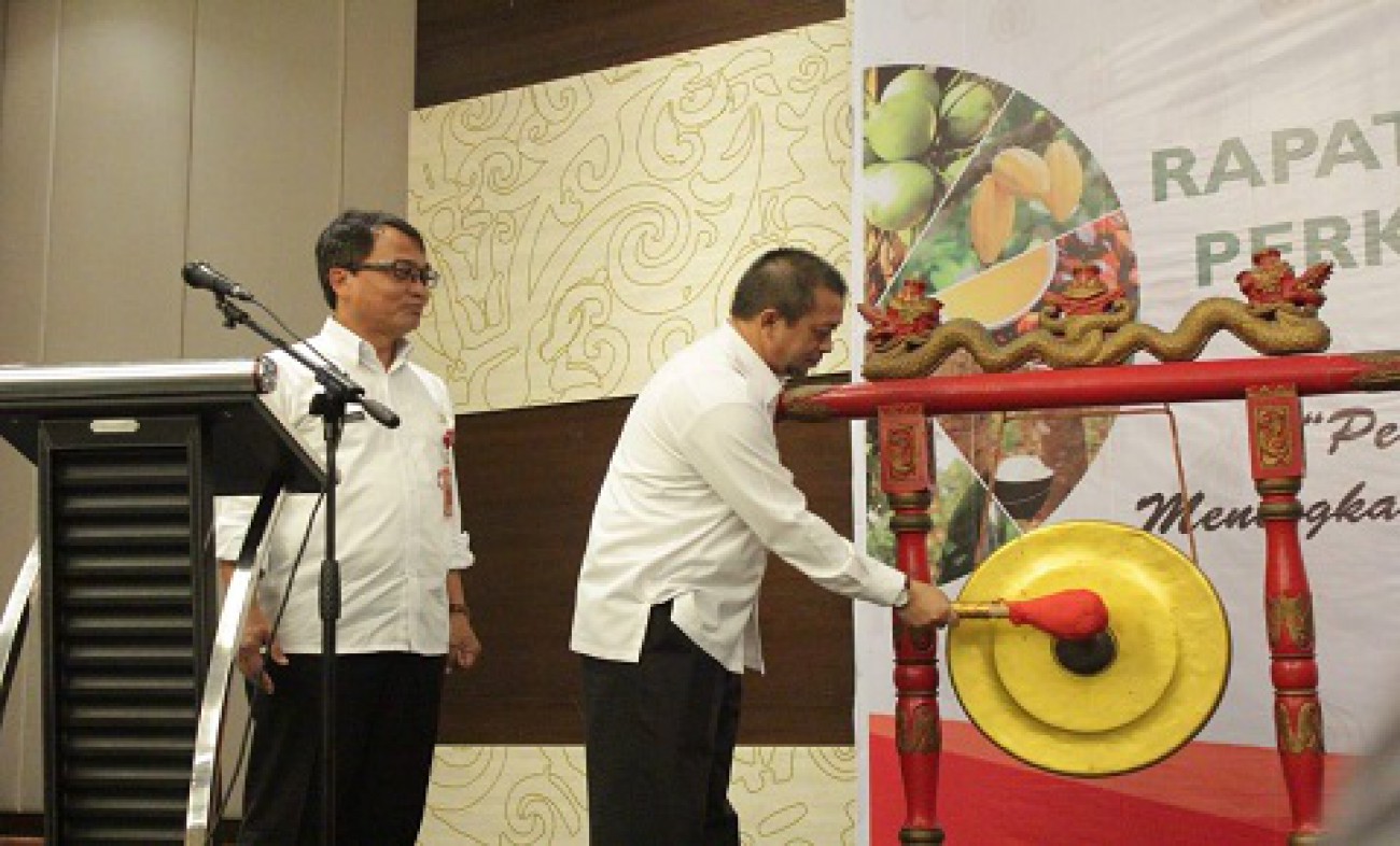 Rapat Koordinasi Pembangunan Perkebunan Kalimantan Timur Tahun 2019