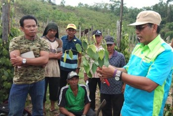 Penguatan Kelembagaan Petani Lada Melalui Dinamika Kelompok