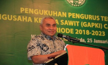 Isran: Sawit Dapat Gantikan SDA Tak Terbarukan 